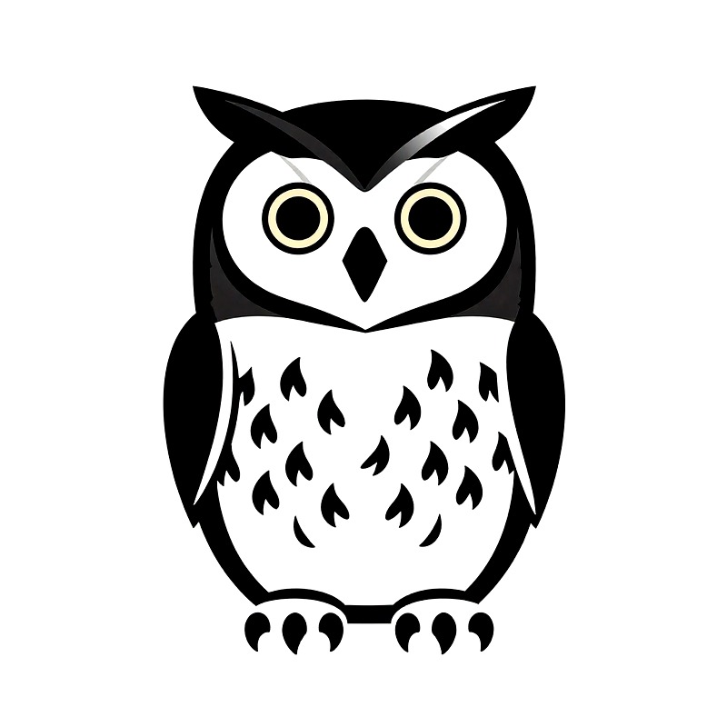 Owl Heat Transfer Vinyl HTV Ir - Iron On Patch 评论和价格